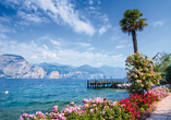 Bewundern Sie die schöne Natur rund um den Gardasee.