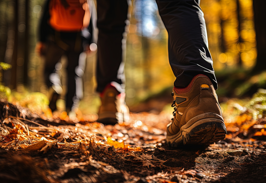 Begeben Sie sich auf eine Wanderung durch den Westerwald.