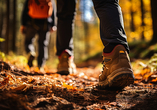 Begeben Sie sich auf eine Wanderung durch den Westerwald.