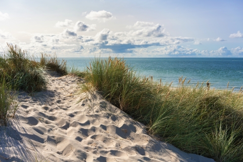 Freuen Sie sich auf einen unvergesslichen Urlaub am Meer!