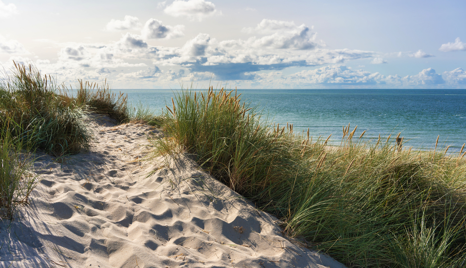 Freuen Sie sich auf einen unvergesslichen Urlaub am Meer!