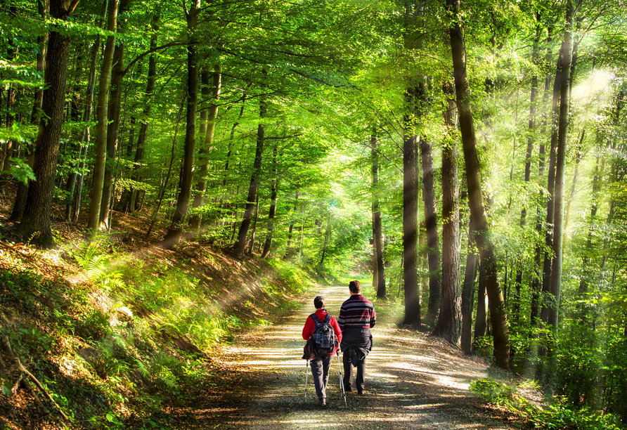 Entdecken Sie die Region bei einer Wanderung.