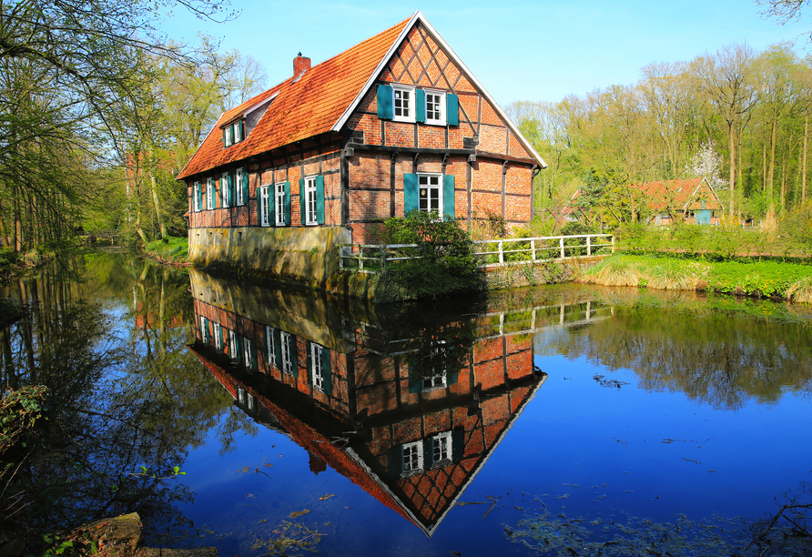 Spazieren Sie zur Schlossanlage in Ihrem Urlaubsort Dinklage.