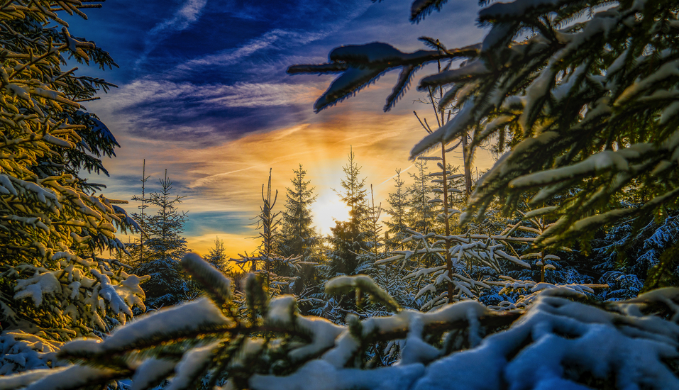 Der Winter im Harz ist märchenhaft schön.