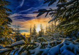 Der Winter im Harz ist märchenhaft schön.