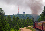 Die Brockenbahn bringt Sie hoch hinauf zum Gipfel.