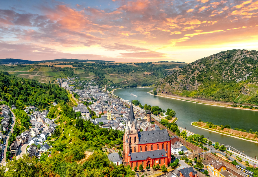 Blick über Oberwesel