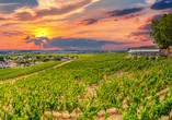 Blick über den Rheingau bei Rüdesheim