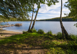 See und Wald auf der Insel Usedom am Wolgastsee