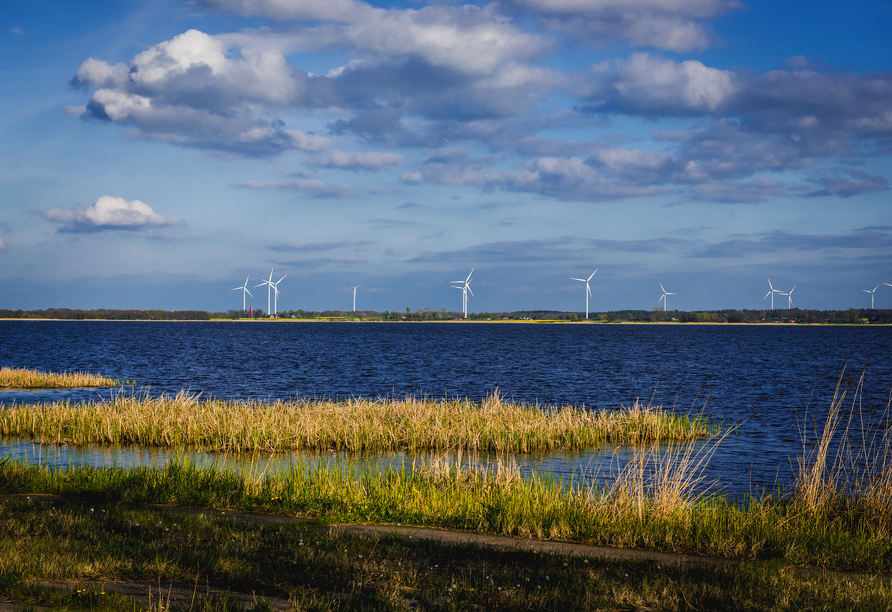 Resko Przymorskie-See (Kamper See) lädt zu erholsamer Momenten in der Natur ein.