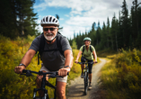 Die Wege sind perfekt für eine Fahrradtour geeignet.