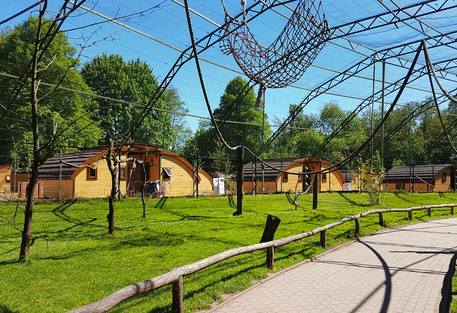 Erleben Sie einen abenteuerlichen Tag im Serengiti Park in Hodenhagen.