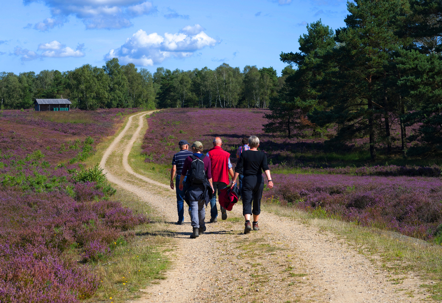 Gehen Sie auf Erkundungstour und wandern Sie durch die Südheide.