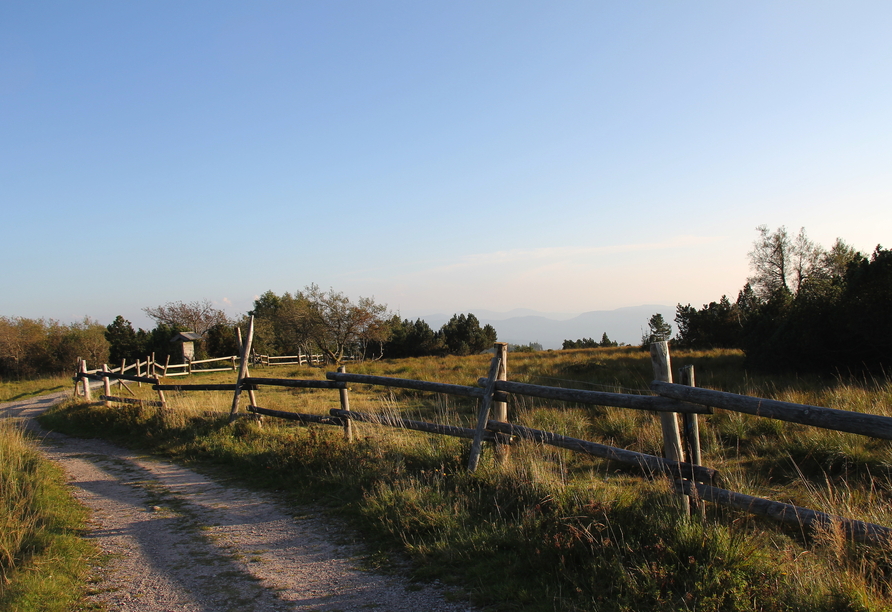 Erwandern Sie Grinden im Schwarzwald, offene heidenähnliche Hochweiden.