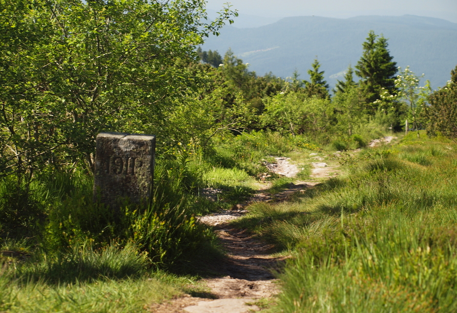 Zahlreiche Wanderwege erwarten Sie rund um Ihr Hotel und in Ihrer Urlaubsregion