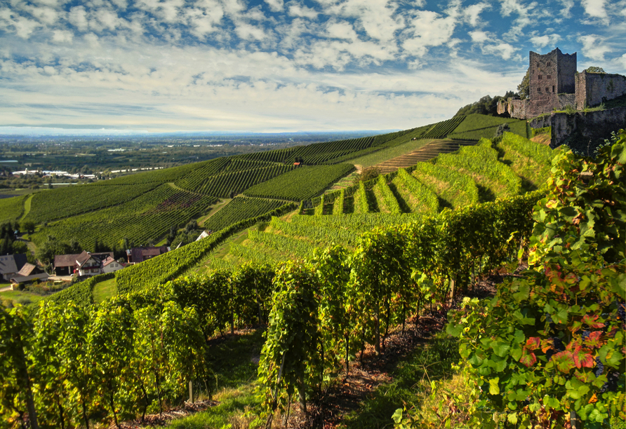 Die Ruine Schauenburg in Oberkirch