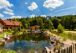 Naturteich vom Hotel Landgasthof Hessenmühle