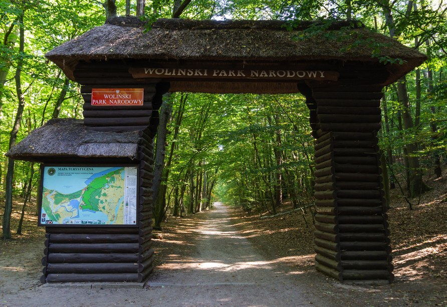 Unternehmen Sie einen Ausflug in den Wollin Nationalpark.