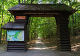 Unternehmen Sie einen Ausflug in den Wollin Nationalpark.