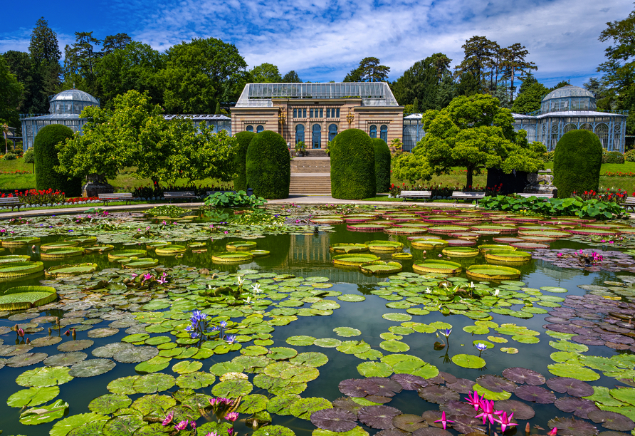 Abenteuerlicher Tierspaß erwartet Sie zoologisch-botanischen Garten Wilhelma in Stuttgart.