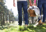 Was gibt es Schöneres als ein Picknick in der Natur?