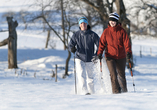 Auch im Winter bietet der Harz tolle Freizeitmöglichkeiten. 