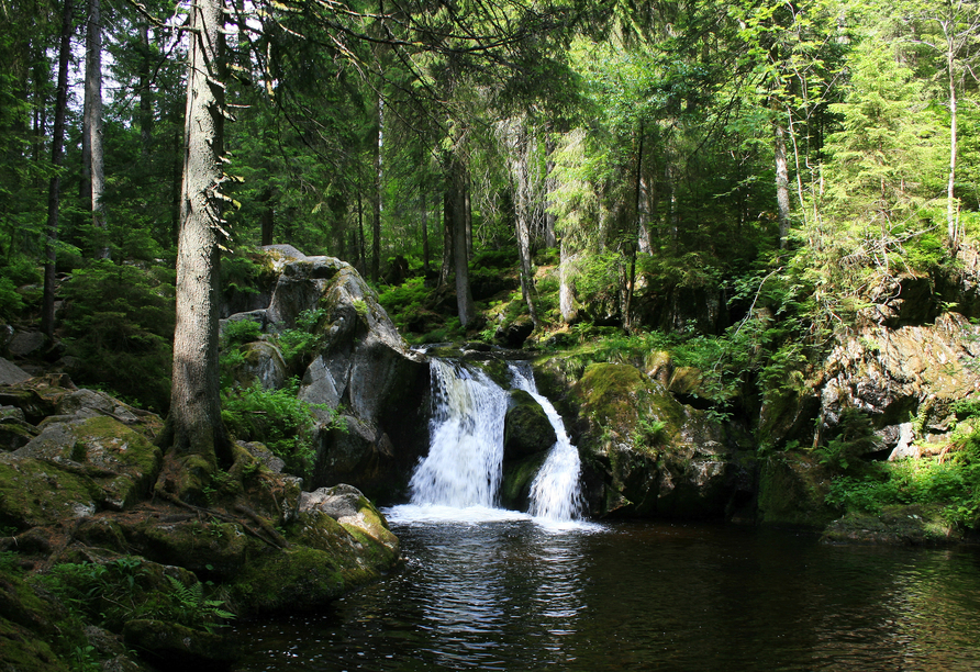 Erkunden Sie das Monbachtal bei einer Wanderung.