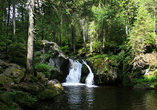 Erkunden Sie das Monbachtal bei einer Wanderung.