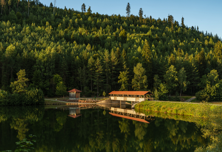 Die traumhafte Naturlandschaft lädt mit zahlreichen Höhepunkten wie der Nahgoldtalsperre zum Entdecken ein.