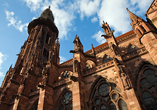 Besteigen Sie den Turm des Freiburger Münsters und genießen Sie den tollen Ausblick über die Stadt. 