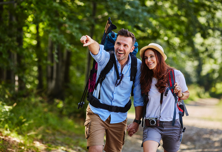 Der Bayerische Wald ist das Reiseziel schlechthin, um ausgiebige Wanderungen zu unternehmen. 