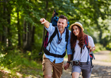 Der Bayerische Wald ist das Reiseziel schlechthin, um ausgiebige Wanderungen zu unternehmen. 