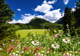 Erkunden Sie die traumhaften Naturlandschaften des Bayerischen Waldes.