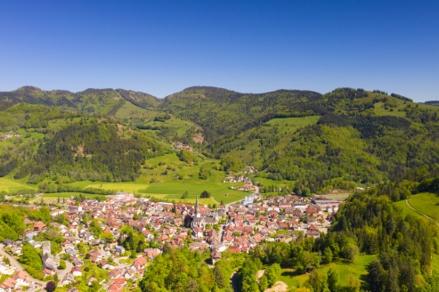 Schönau liegt idyllisch im Grünen.