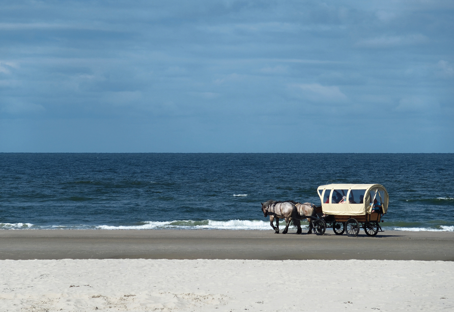 Wie wäre es mit einer Kutschfahrt am Strand von Juist?