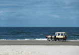 Wie wäre es mit einer Kutschfahrt am Strand von Juist?