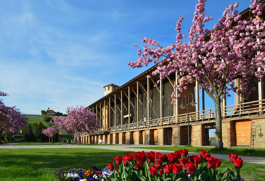 Im Pfälzer Kurort Bad Dürkheim können Sie sich in dem wunderschönen Kurpark mit dem Gradierwerk entspannen und neue Kraft tanken.