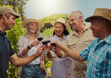 Neustadt und seine neun Weindörfer sind das zweitgrößte Weinanbaugebiet in Deutschland. Genießen Sie bei einer Weinprobe leckere Weine der Region.