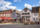 Schlendern Sie durch die Altstadt von Neustadt an der Weinstraße.