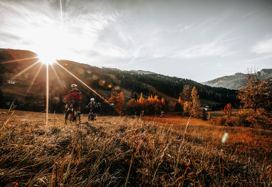 Schnappen Sie sich Ihr Rad und unternehmen Sie eine Fahrradtour zum Jägersee.