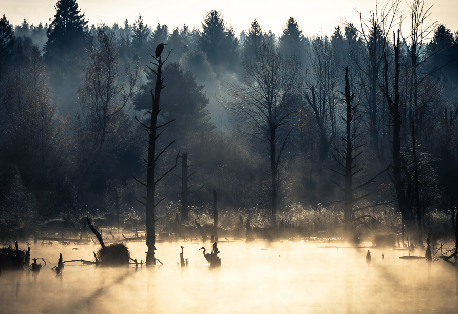 Die Natur rund um das Schwenninger Moos ist magisch.