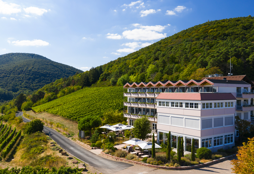 Außenansicht vom Arens Hotel 327m NN