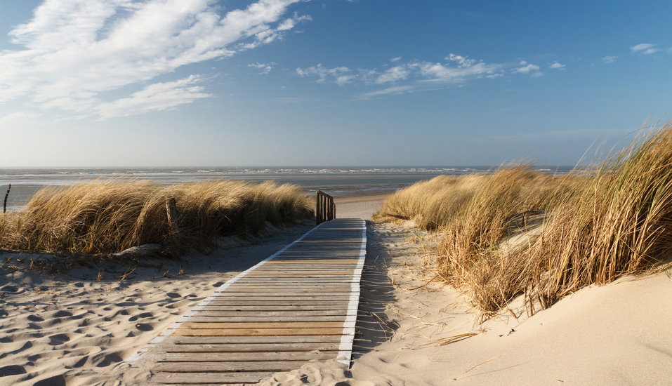 Der lange Strandabschnitt auf Langeoog bietet sich ideal für einen langen Spaziergang an.