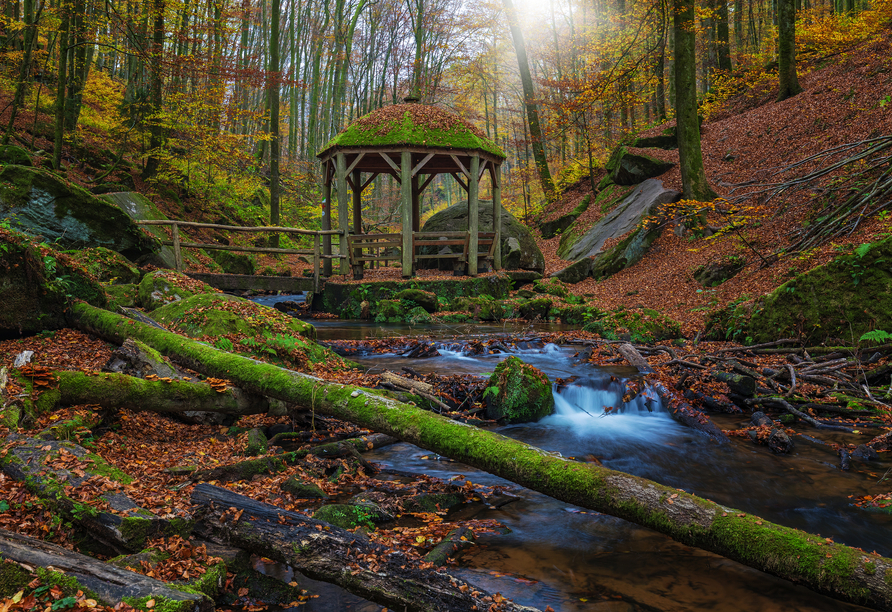 Orte wie die Karlstalschlucht sind zu jeder Jahreszeit beliebte Wanderziele.