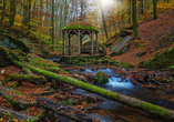 Orte wie die Karlstalschlucht sind zu jeder Jahreszeit beliebte Wanderziele.