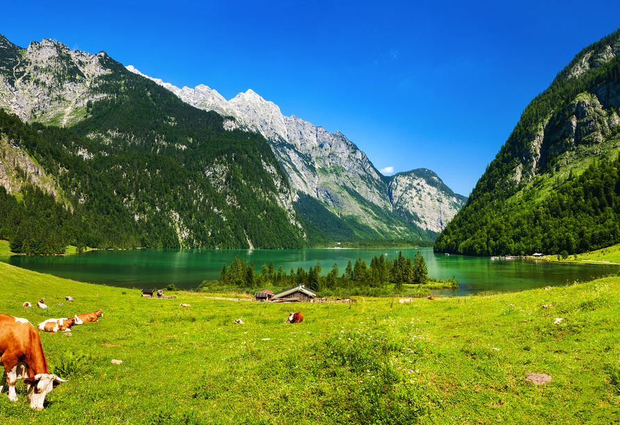 Genießen Sie die bayerische Idylle am Königssee.