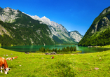 Genießen Sie die bayerische Idylle am Königssee.