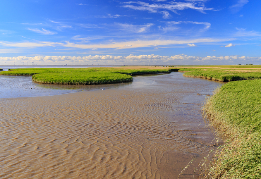 Malerische Naturlandschaften im Nationalpark Niedersächsisches Wattenmeer