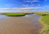 Malerische Naturlandschaften im Nationalpark Niedersächsisches Wattenmeer