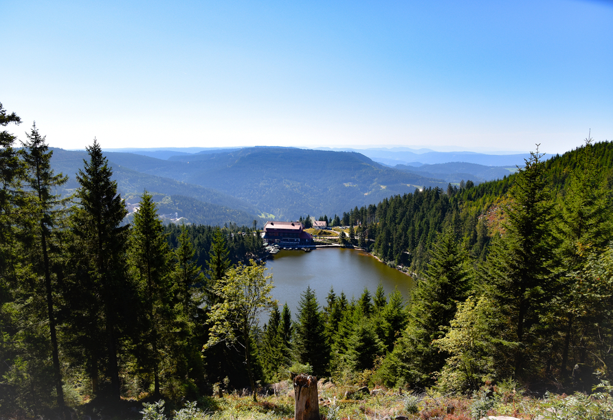 Mummelsee im Schwarzwald 